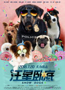 青青青爽線在線視頻觀看