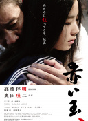 維琴河 第三季