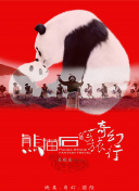 尼爾：機(jī)械紀(jì)元 動(dòng)畫版