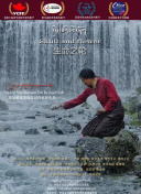 愛情的開關(guān)