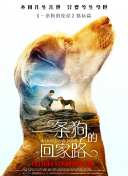 沉默不語的顧小姐