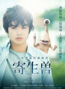 安全領域