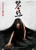 生而為貓