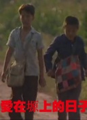 甜蜜的任務 2023