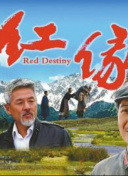 閃耀的她