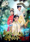 貓科動物的故事
