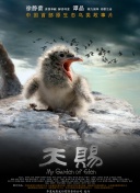 白石久美