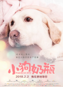 放課后濡濕的授課2動漫