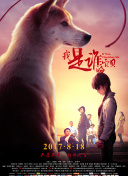 目下街21號