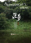 穿盔甲的少女