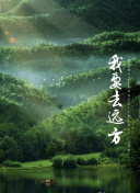 我燦爛的復仇