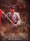 紋舞蘭