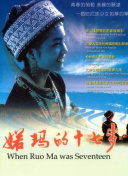 魔能圣甲：守護者