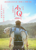幸福還會(huì)來敲門