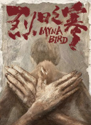 圣十字